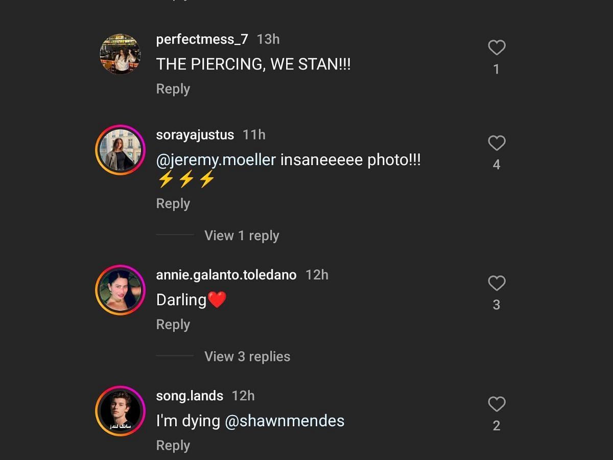 Mendes&rsquo; look for Loewe FW Paris Fashion Week show wins the internet (Image via Instagram/@shawnmendes)