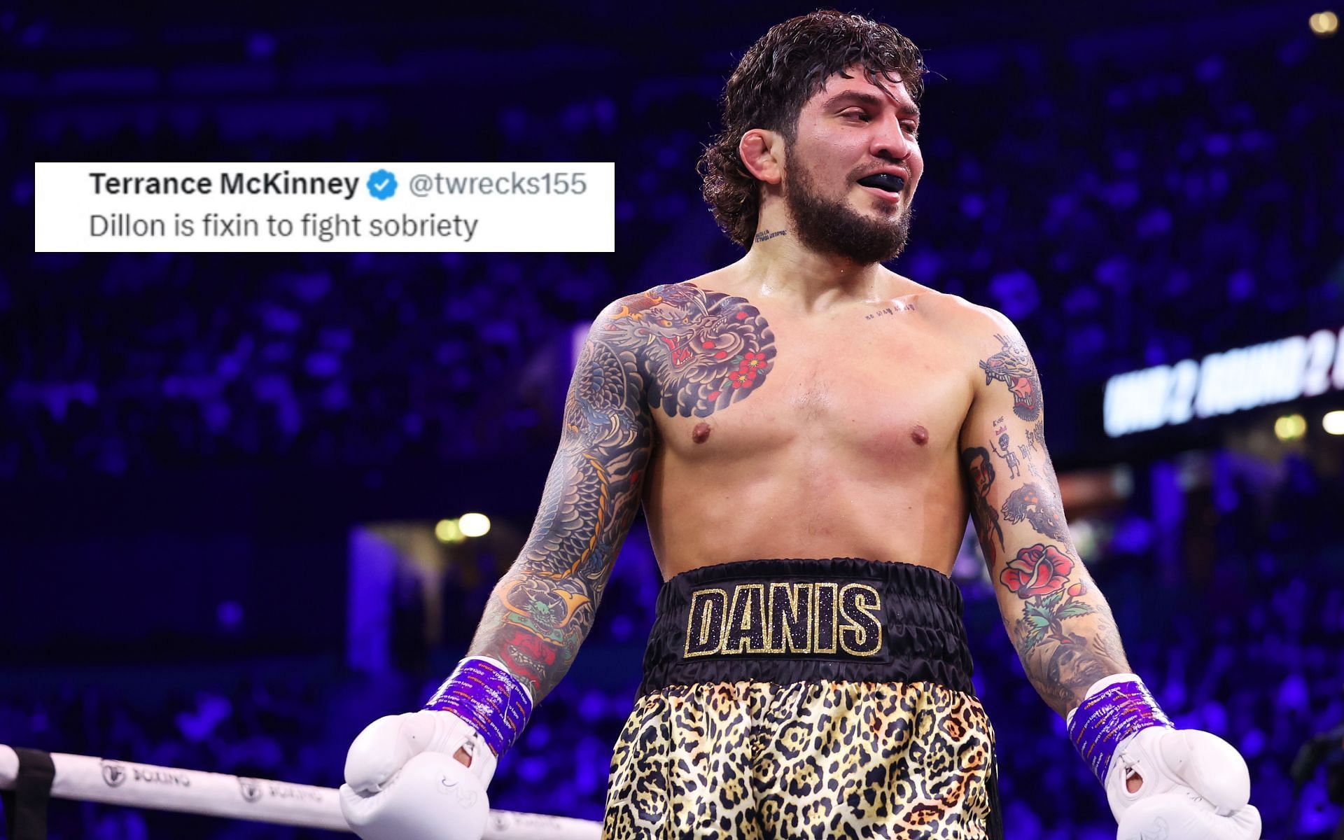 Dillon Danis teases next fight [Image via: Getty Images]