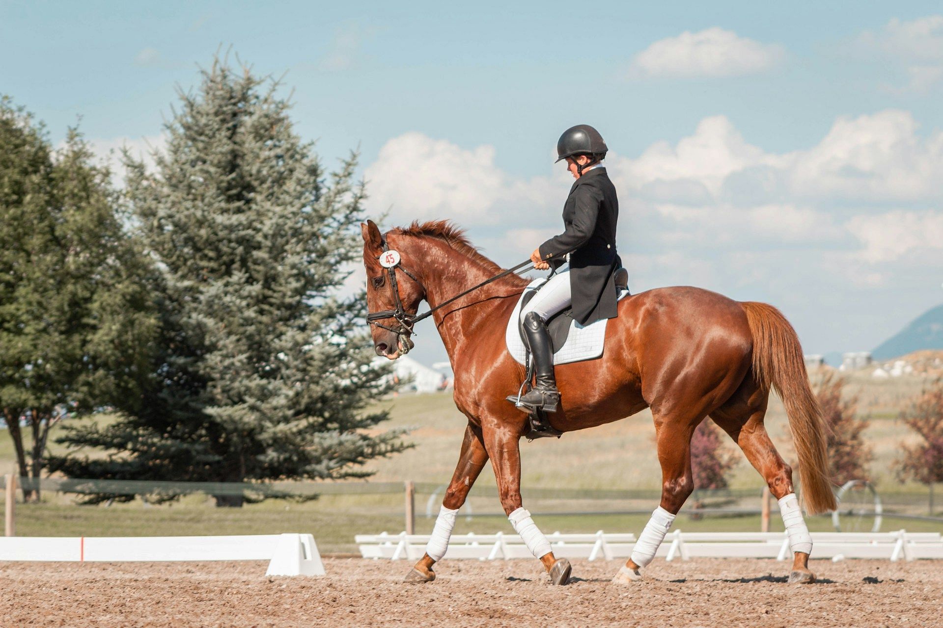 A representative image of an equestrian. (Image via Unsplash)