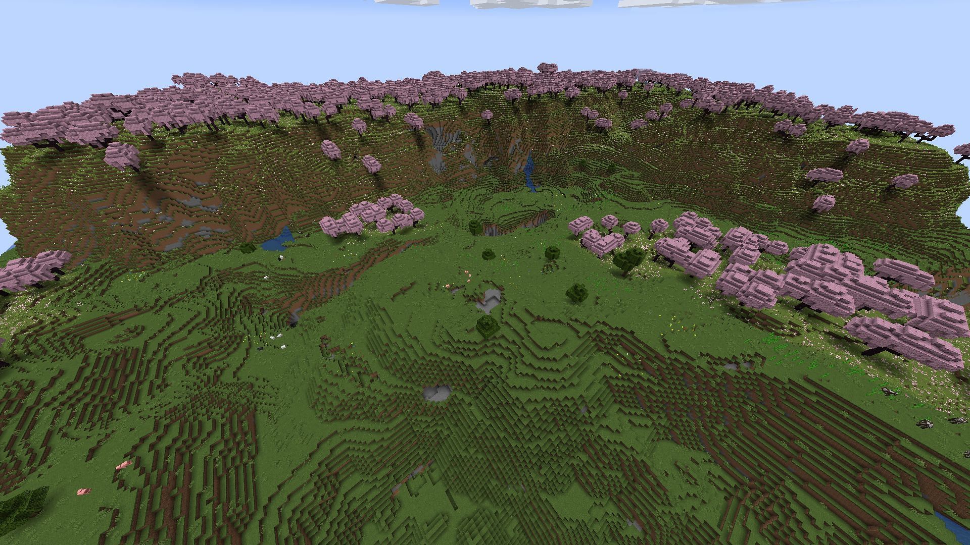 This Minecraft seed should have all the cherry groves that players can handle (Image via Mojang)