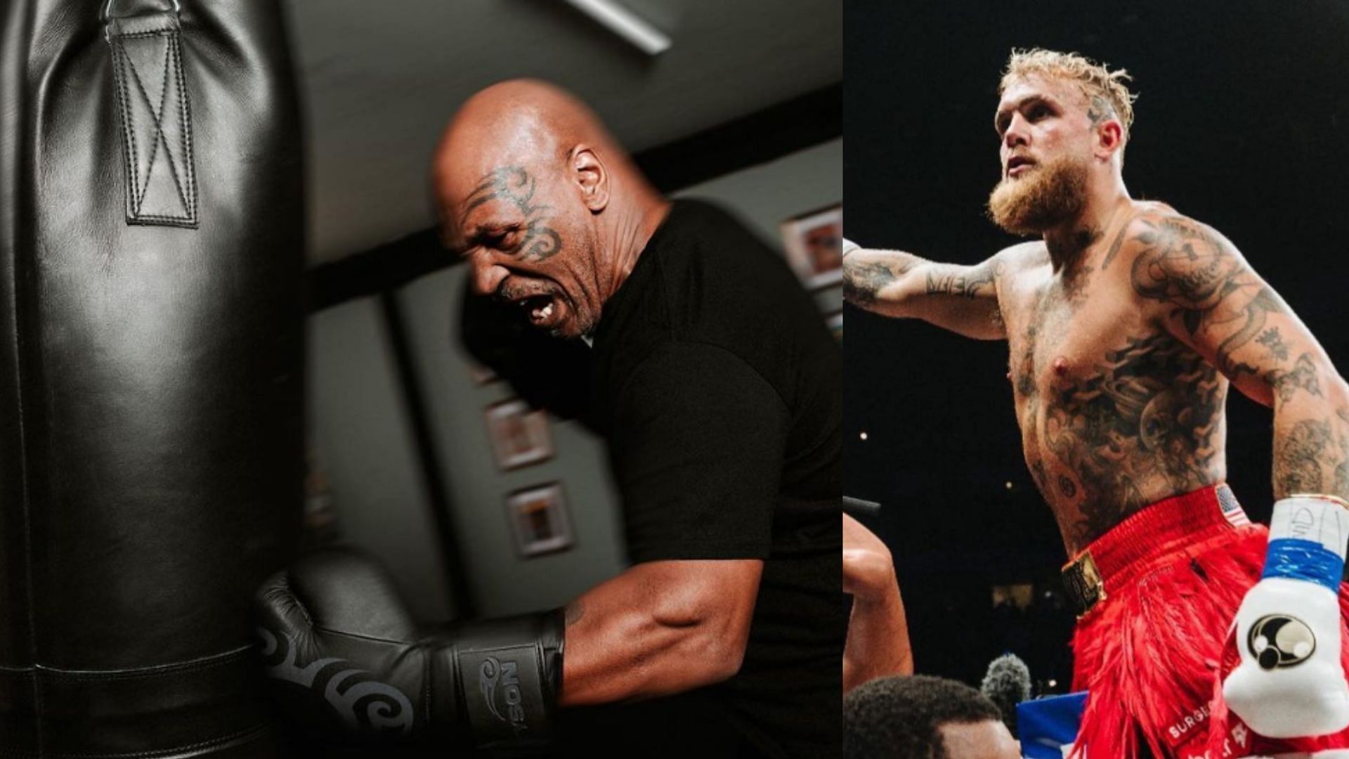 Prior to facing Jake Paul (right). Mike Tyson (left) once detailed how sparring left him bedridden for a week [Images courtesy of @miketyson &amp; @jakepaul on Instagram]