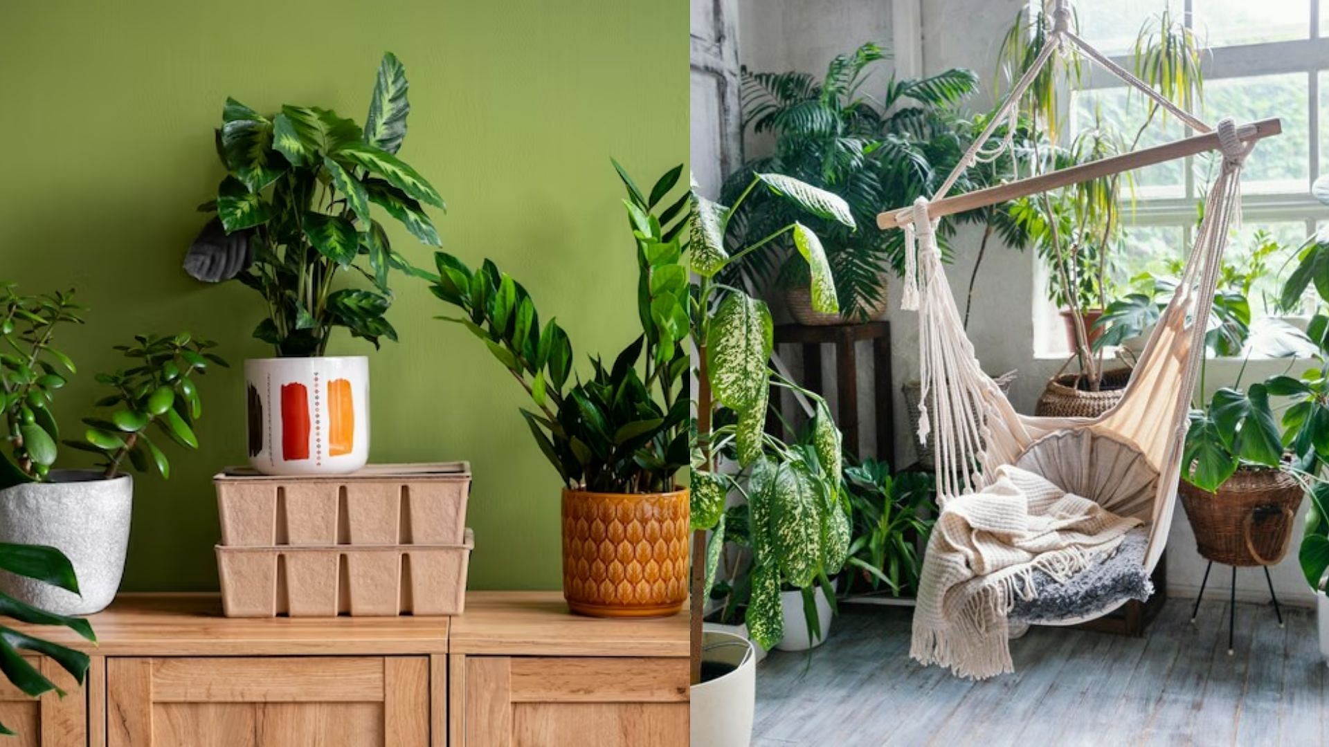 8 Sustainable home decor ideas for your house