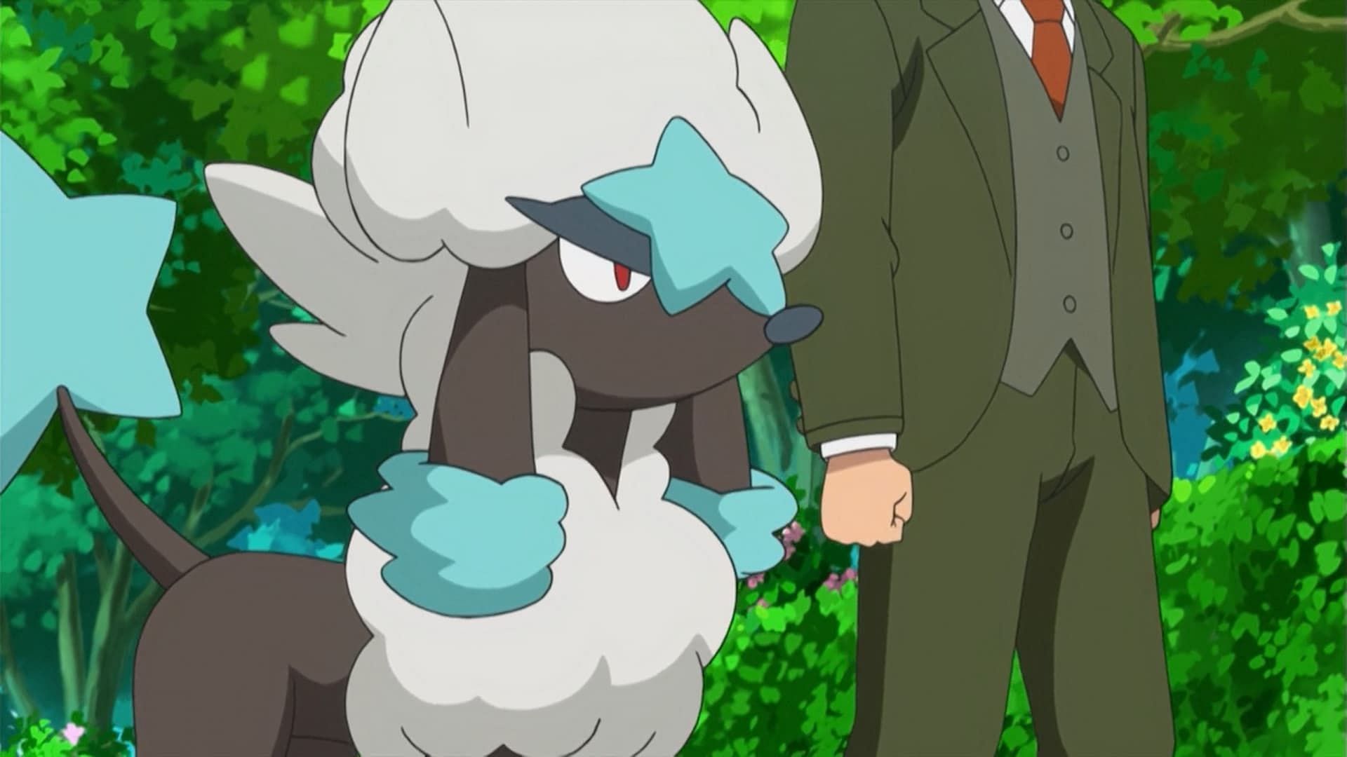 Furfrou in the anime (Image via The Pokemon Company)