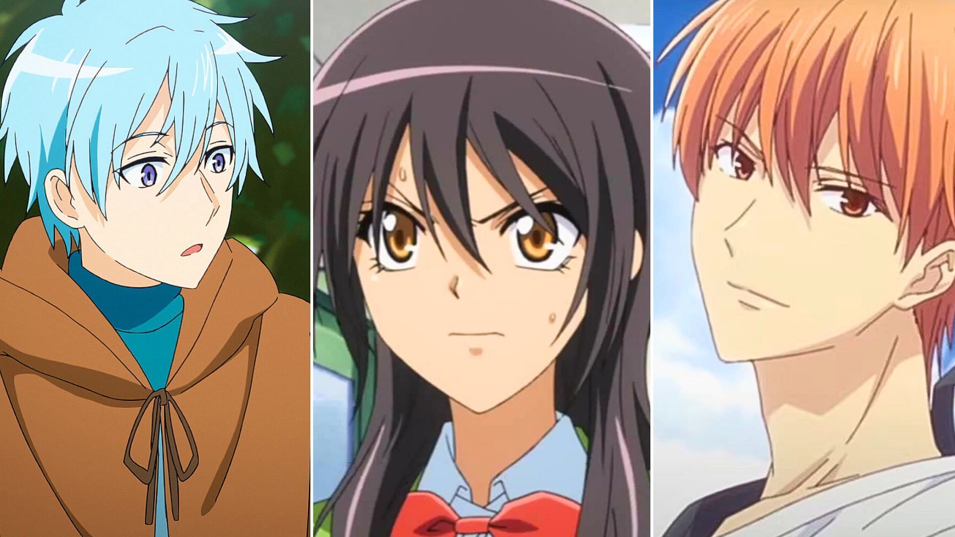 Recovery of an MMO Junkie , Maid Sama!, Fruit Basket