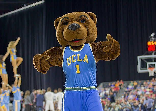 UCLA the Bruins