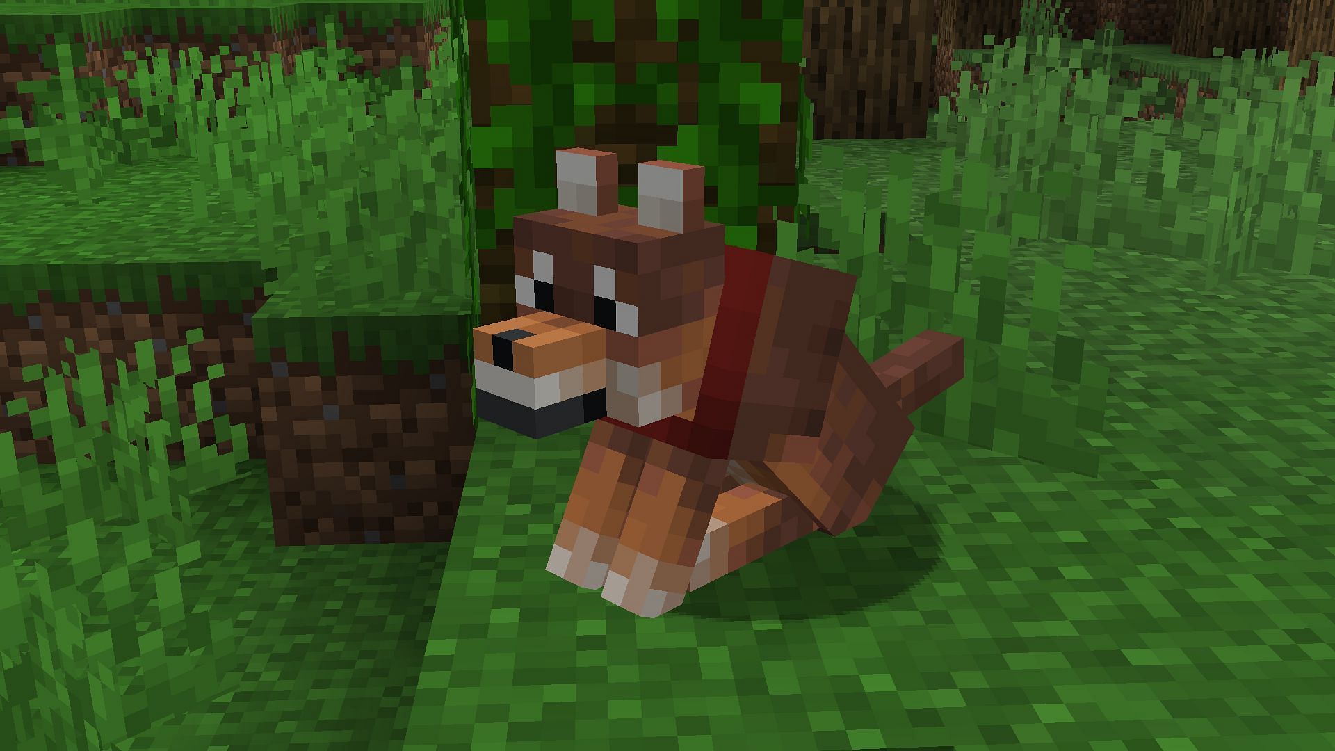 Wolves have variety in Minecraft (Image via Mojang Studios)