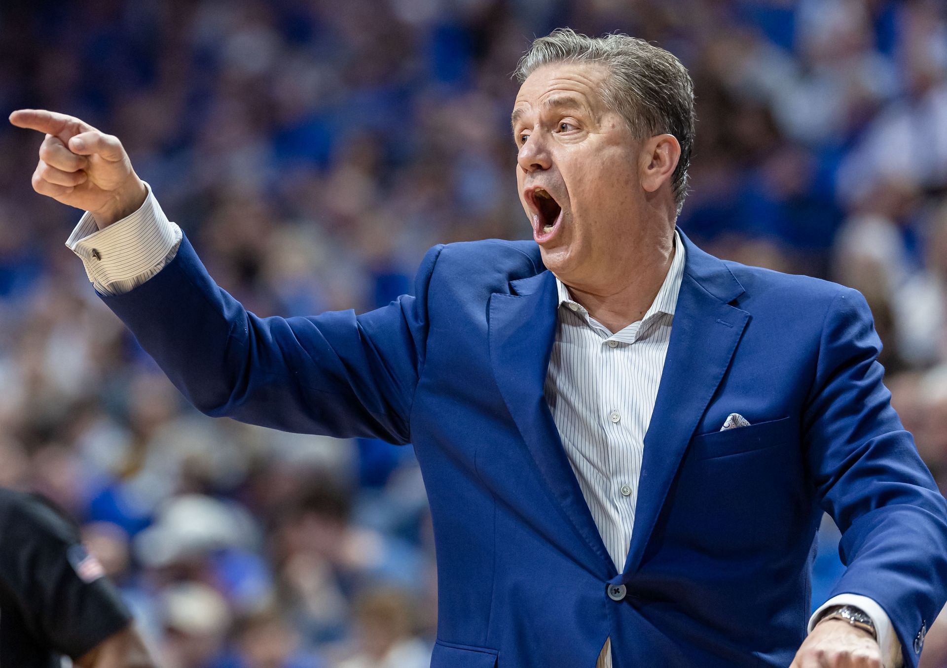 Calipari shouts instructions from the bench..