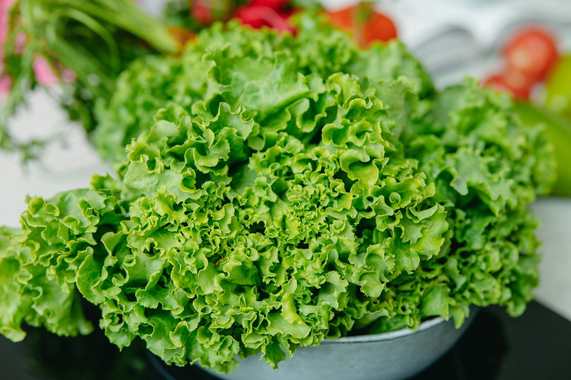 Healthy microgreens (image sourced via Pexels / Photo by yaroslav)