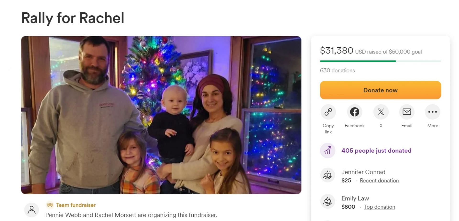 A screenshot of a GoFundMe started for Rachel by her sister (Image via GoFundMe)