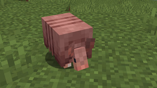 What does armadillo do in Minecraft?