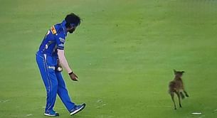 [Watch] Dog halts MI vs GT IPL 2024 clash briefly, runs past Mumbai Indians skipper Hardik Pandya