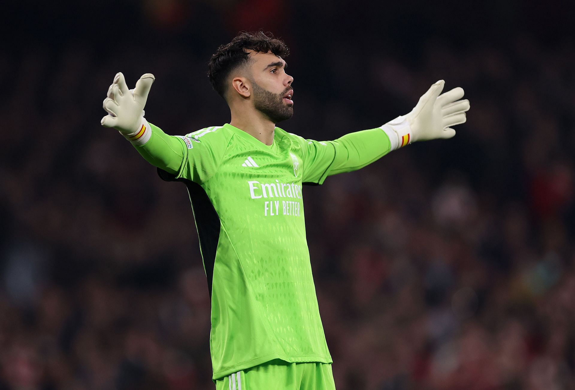 David Raya is set for a permanent stay at the Emirates.
