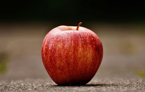 Low carb high fiber snacks (image sourced via Pexels / Photo by pixabay)