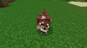 Minecraft now has millions of different wolf combinations