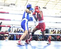 Boxing Federation of India to conduct 3rd Sub Junior National Championship in Greater Noida from March 18 to 25