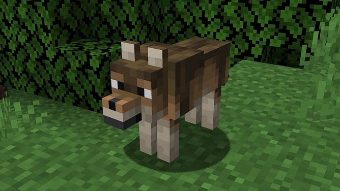 Minecraft 1.20.5 snapshot 24w10a patch notes: New wolf variants, bug fixes, and more
