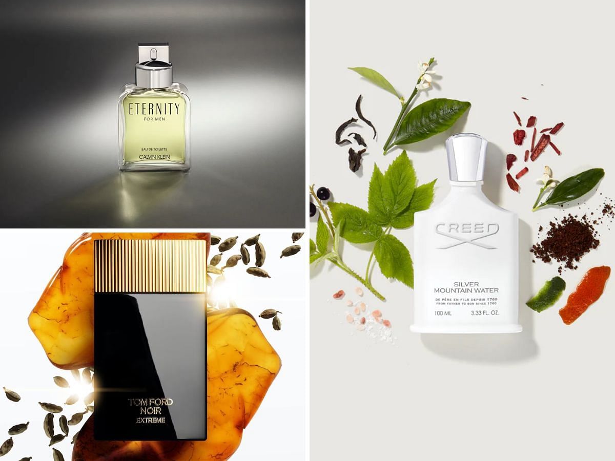 Masculine cologne decants worth exploring in 2024 (Image via @Creed, @TomFord, @CalvinKlein)