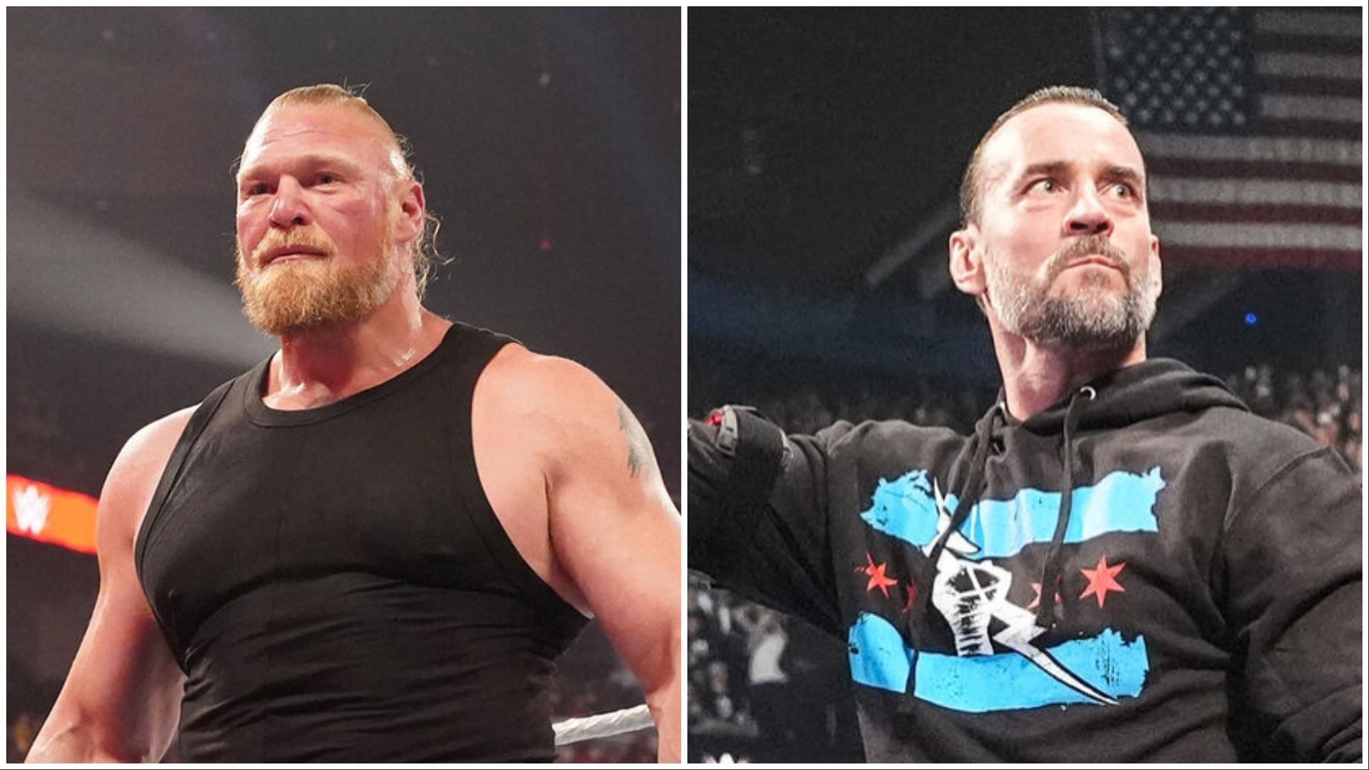 WWE Superstars CM Punk and Brock Lesnar