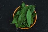 8 amazing neem benefits for better health