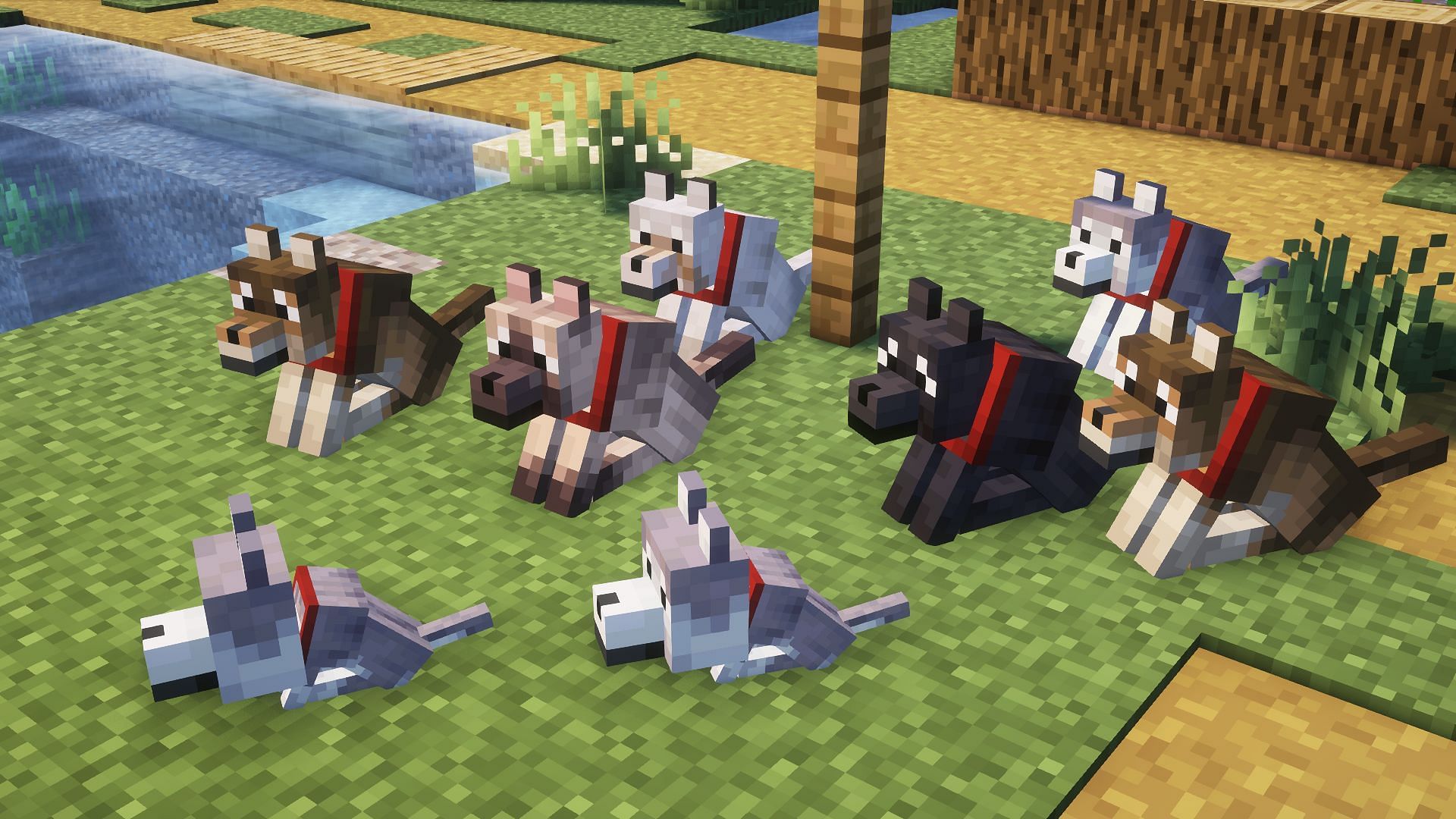 Where to find all Minecraft wolf variants