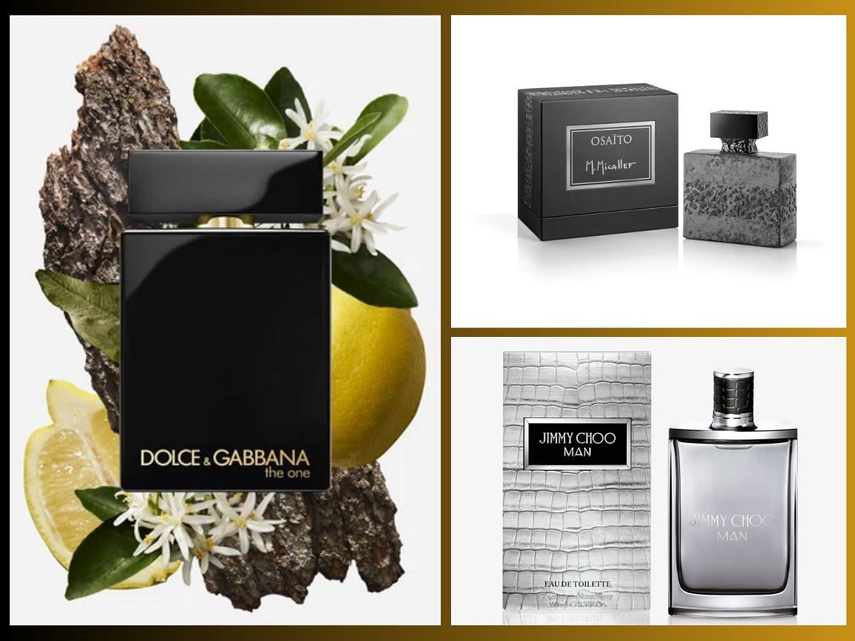 Woody-spicy colognes for men, worth spritzing in 2024 (Image via @dolcegabbana, @jimmychoo, @parfumsmicallef)