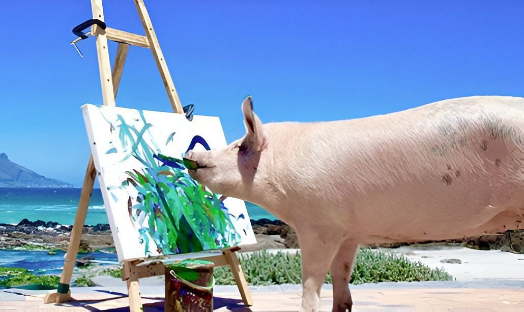 Animal artist, Pigcasso dies at 8 (image via @pigcassohoghero on Instagram)