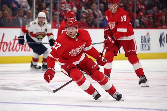 Detroit Red Wings vs Florida Panthers: Game Preview, Predictions, Odds, Betting Tips & more | Mar. 30, 2024