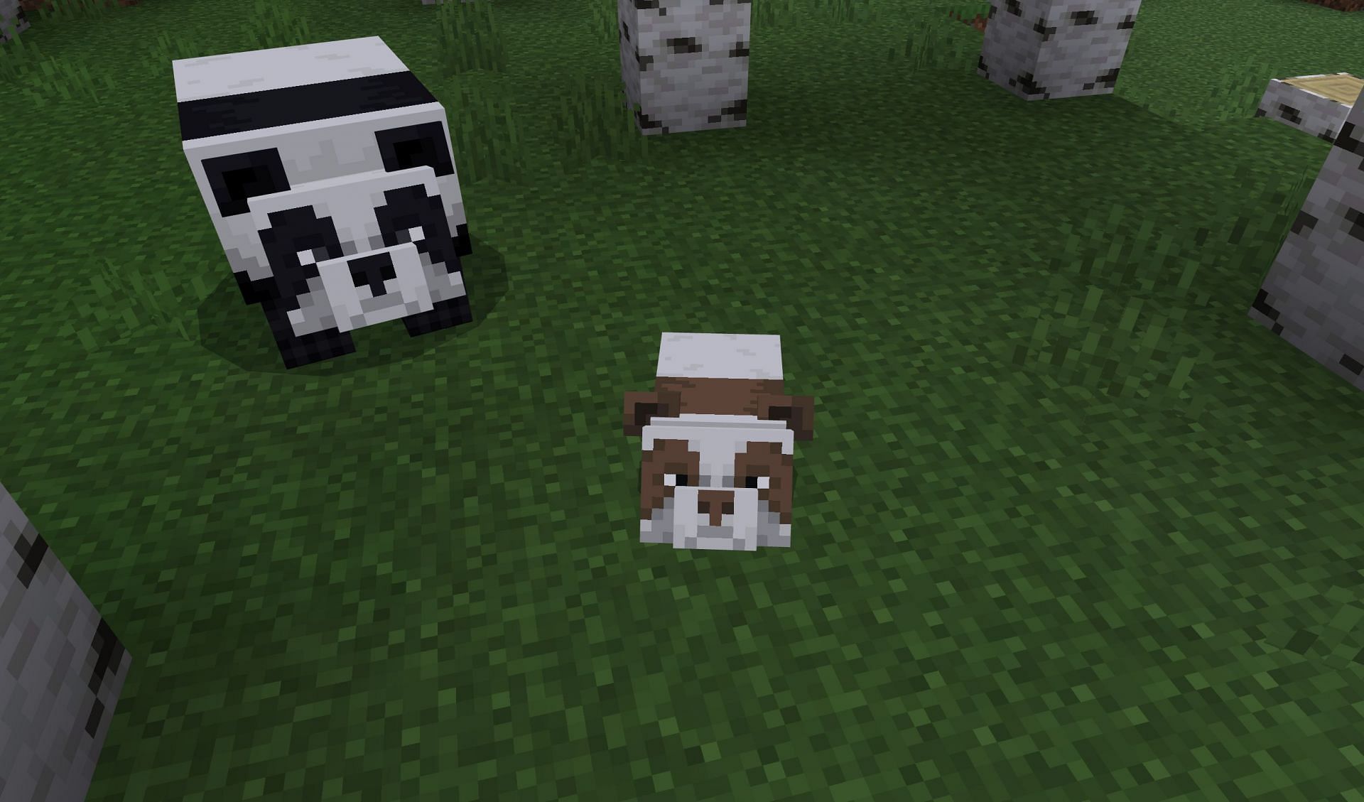 Baby brown pandas are the rarest variant (Image via Mojang Studios)