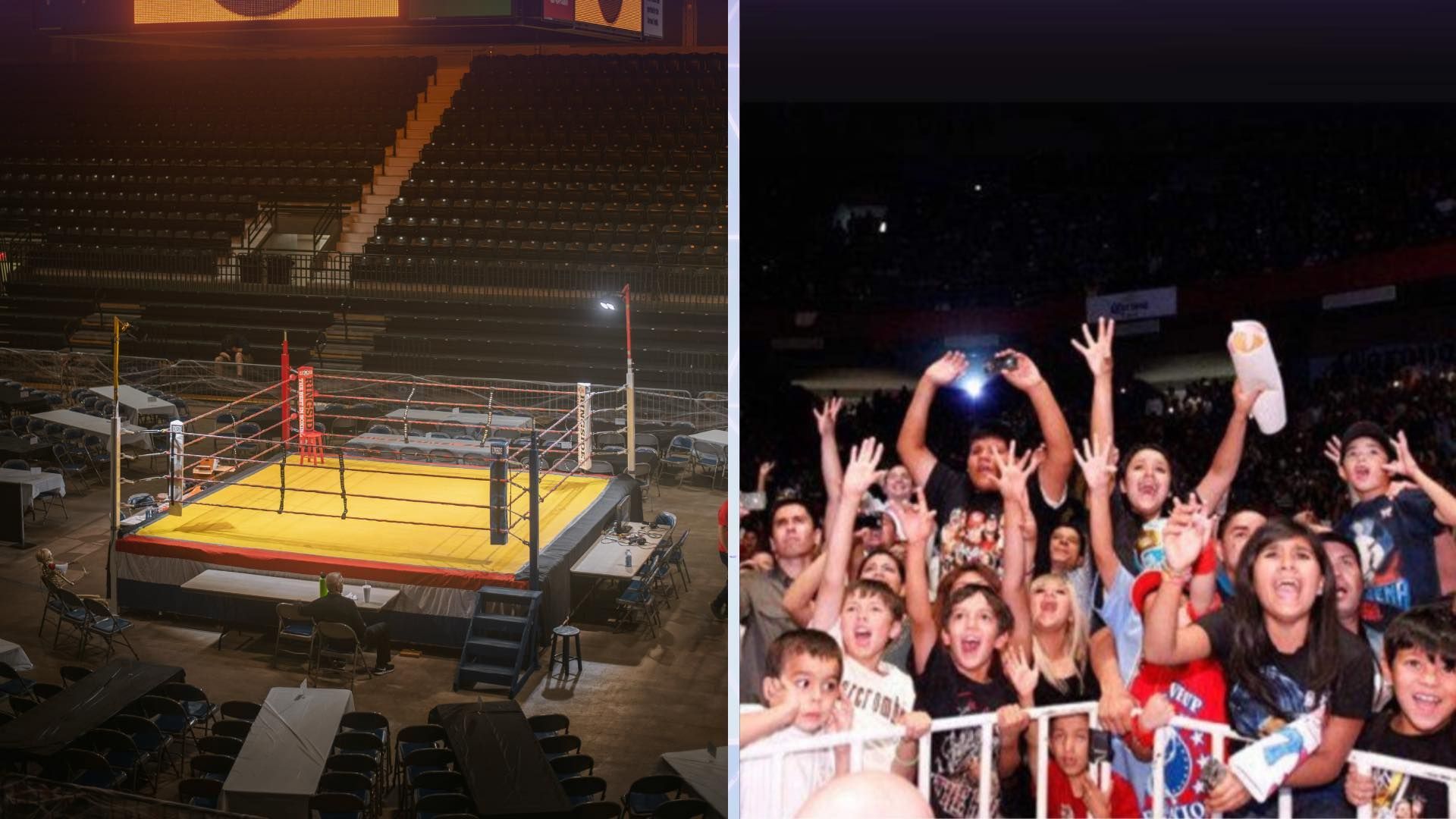 Former WWE star set to stay with wrestling promotion (Pic credit: unsplash.com) 