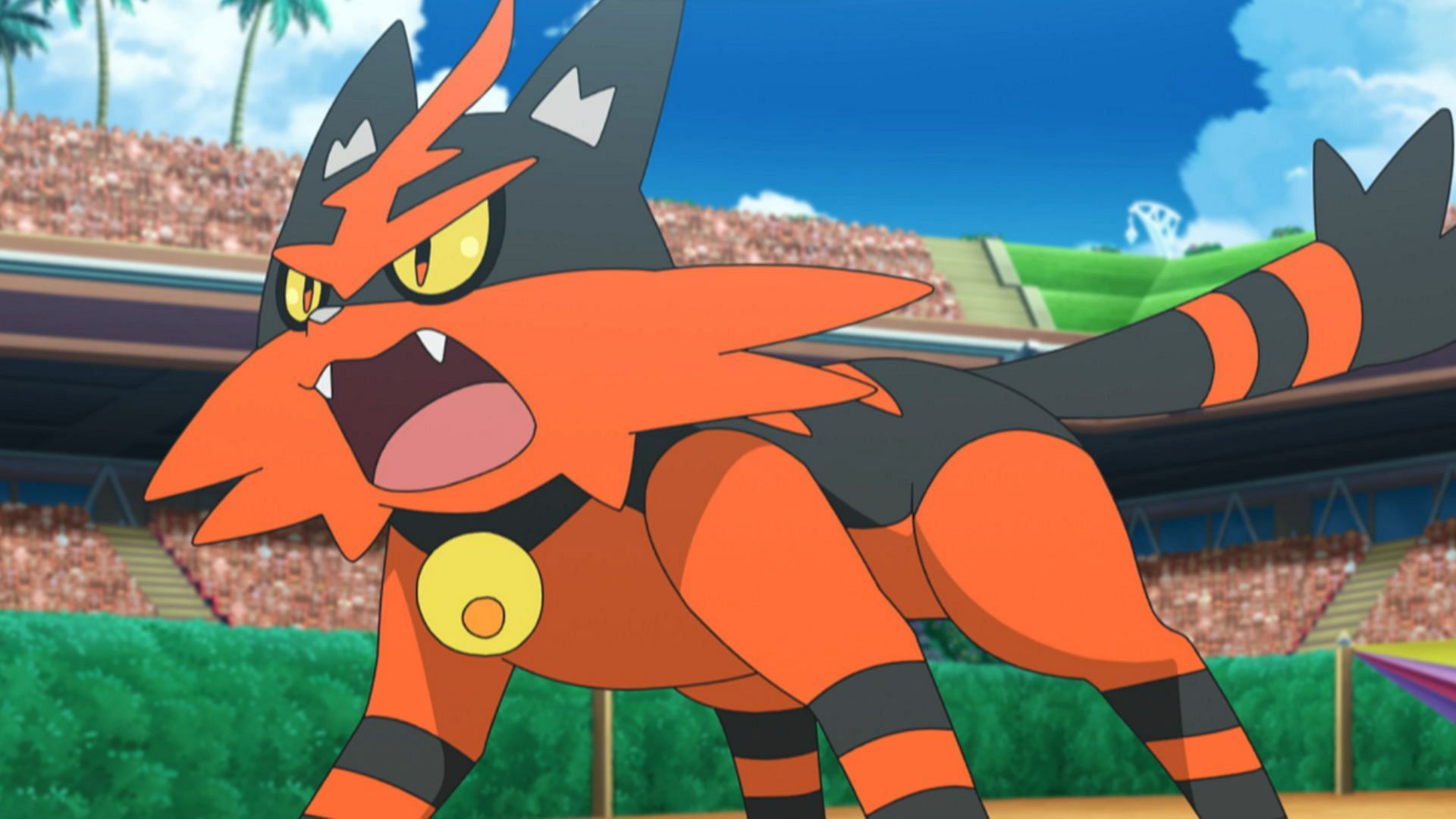 Torracat in the anime (Image via The Pokemon Company)