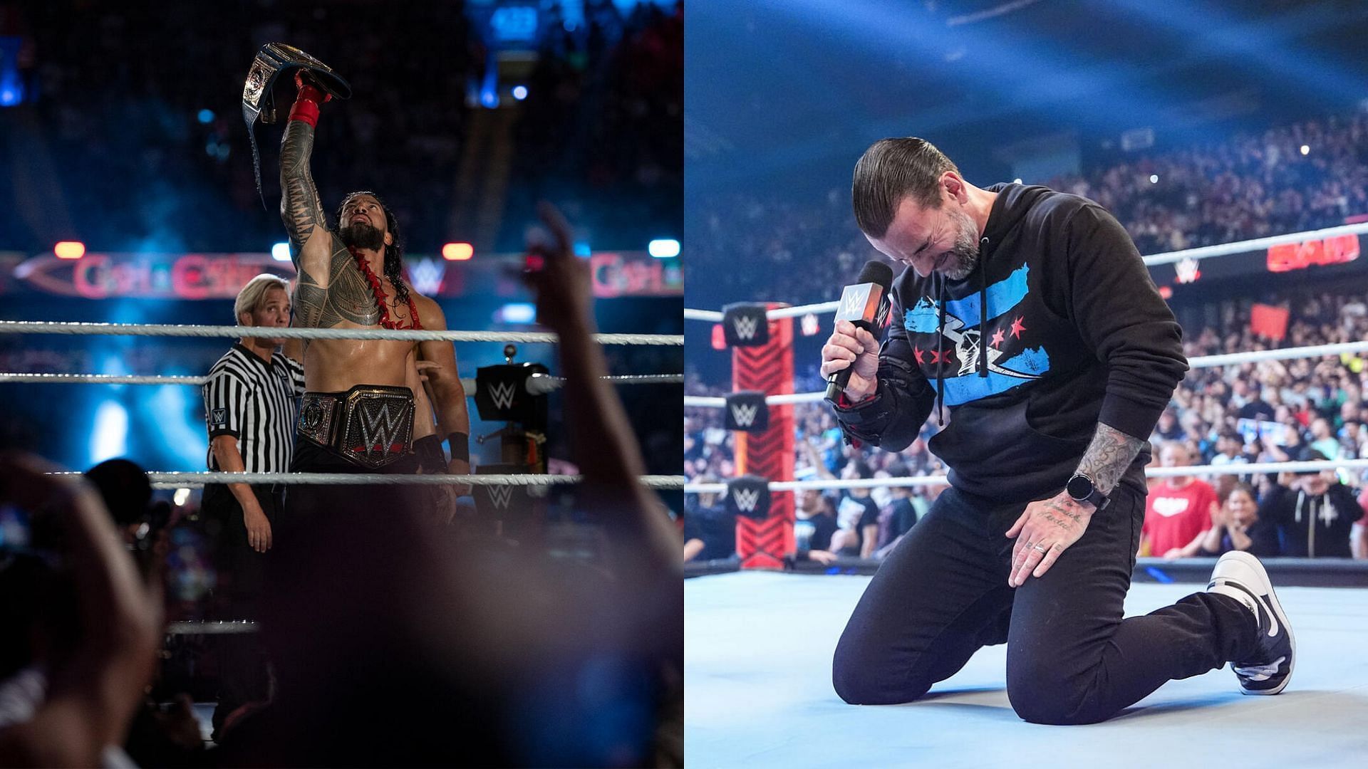 Roman Reigns and CM Punk haven