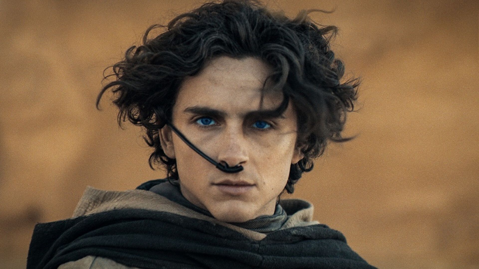 Timothee Chalamet in Dune 2 (2024) 