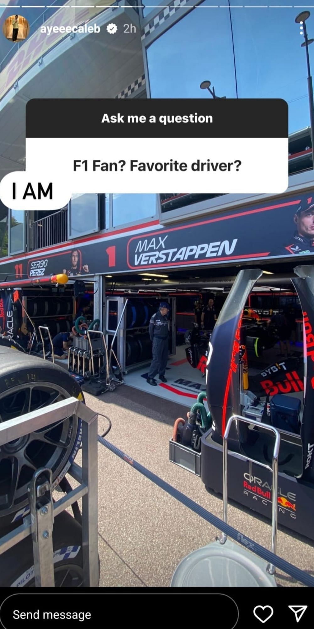Williams chose Max Verstappen as his favorite F1 driver.