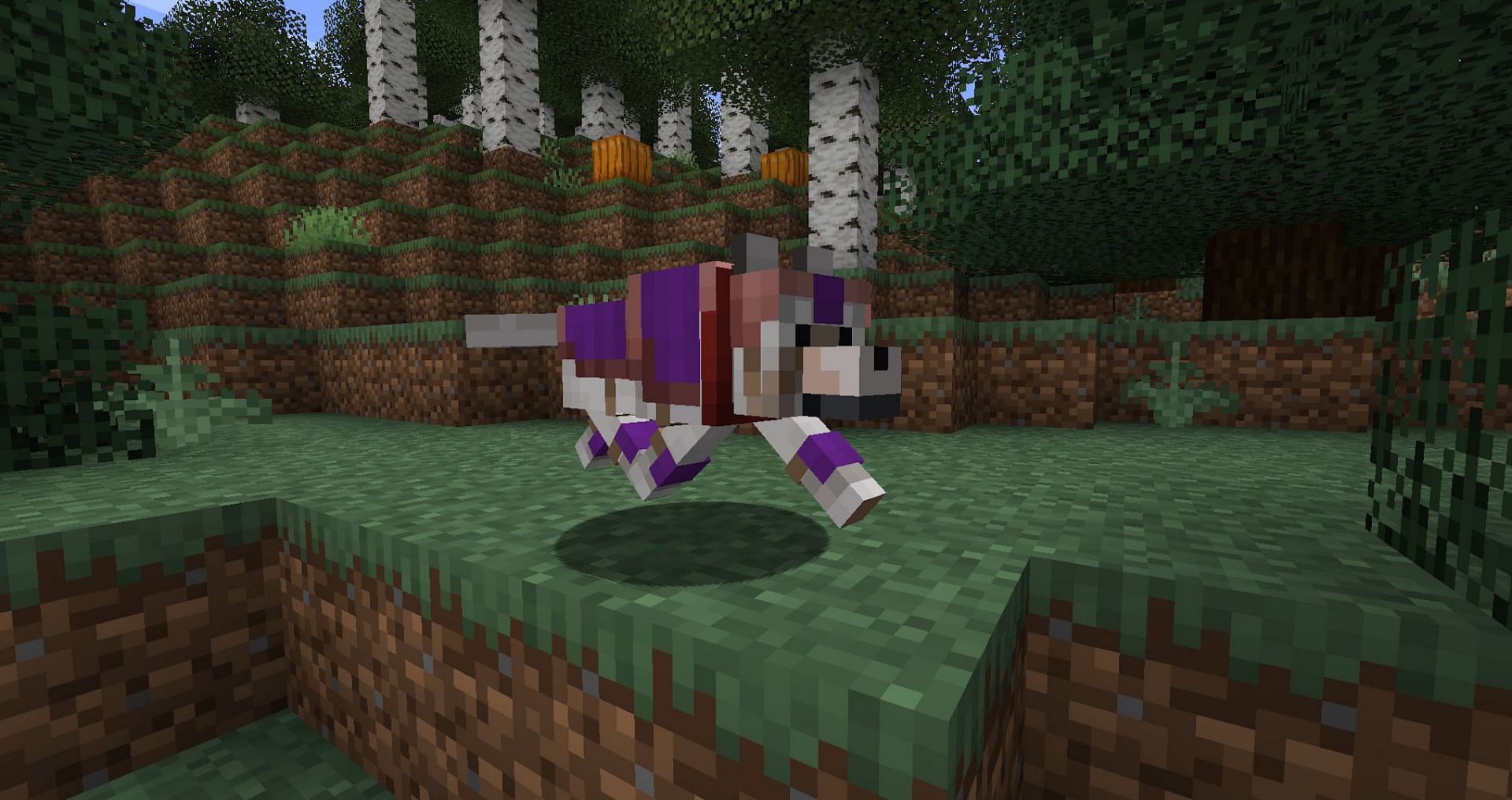 A pale wolf wearing purple-dyed wolf armor (Image via Mojang)