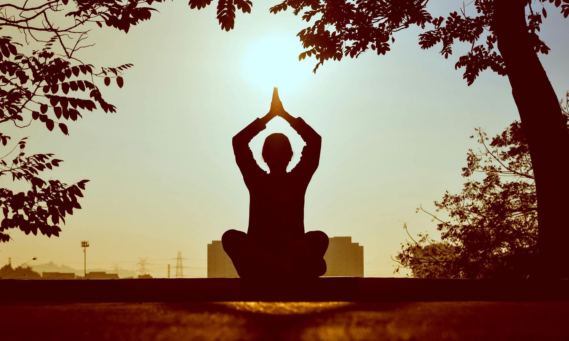 benefits of morning yoga flow (image sourced via Pexels / Photo by prasanth)