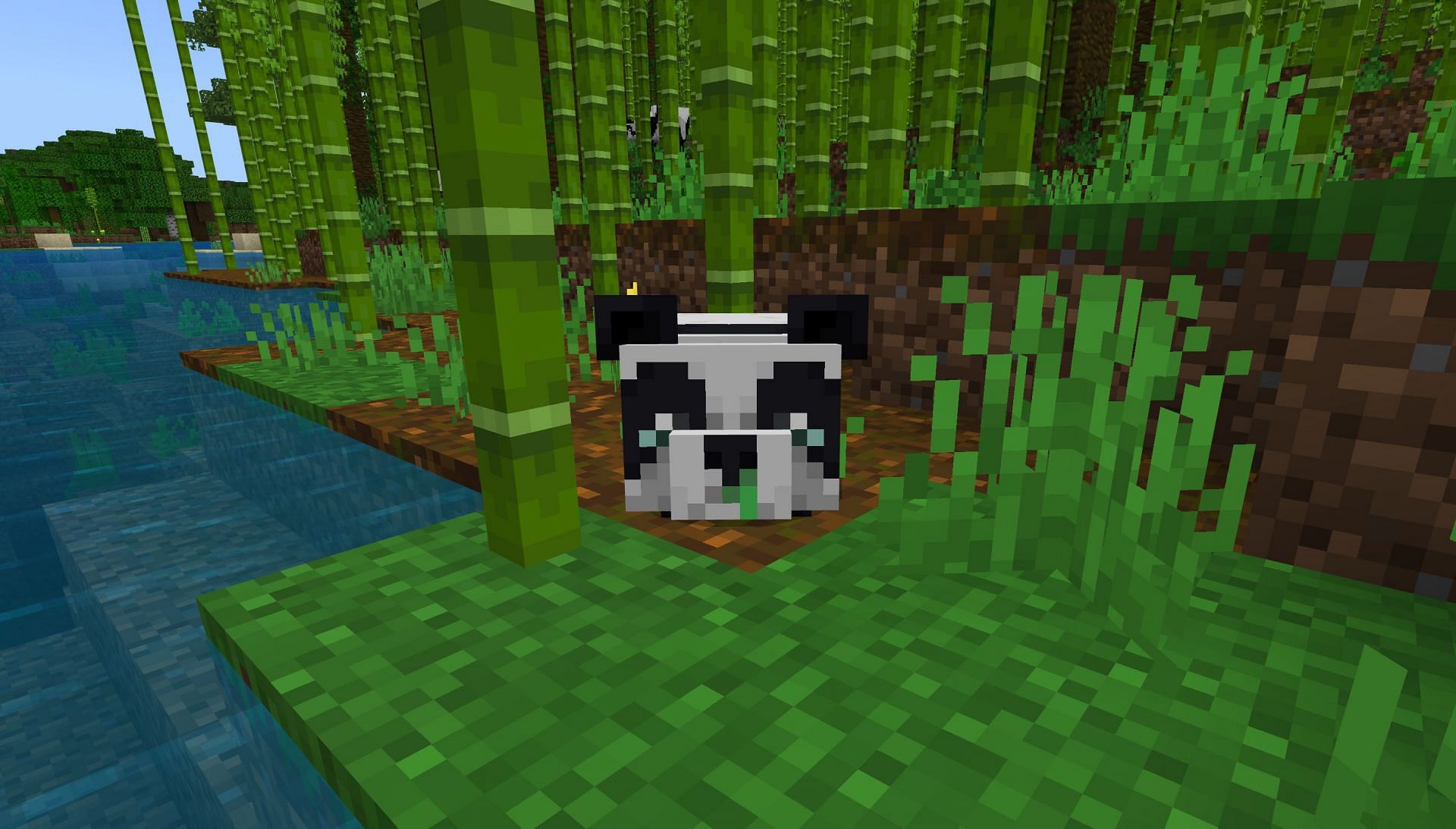 Weak pandas are just as rare depending on perspective (Image via Mojang Studios)