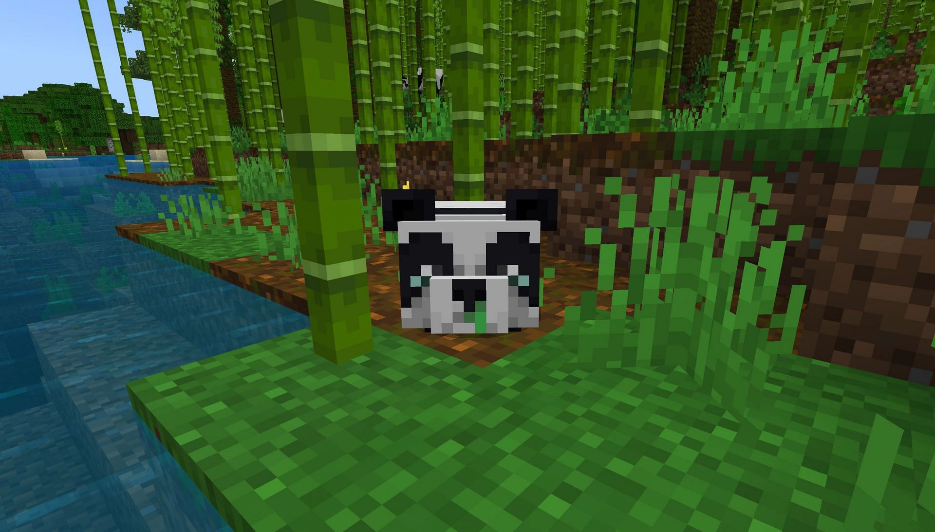 Which Minecraft panda is the rarest?