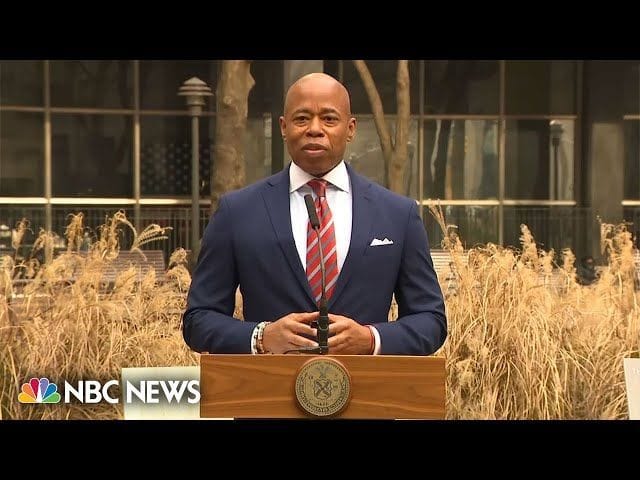 Chinese billionaire Hui Qin pleads guilty to election crimes and straw ...
