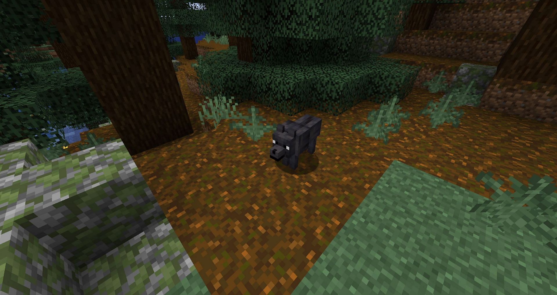 Wolves can spawn on Podzol now. (Image via Mojang)