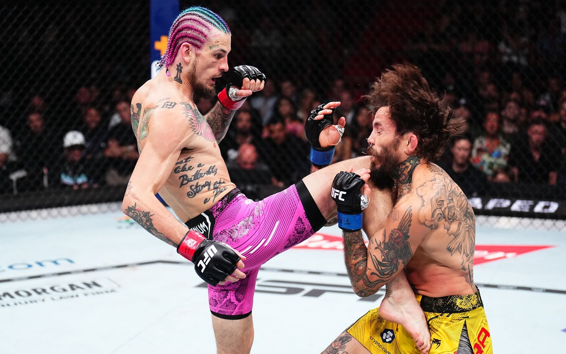 Can Sean O&rsquo;Malley become the greatest bantamweight in UFC history?