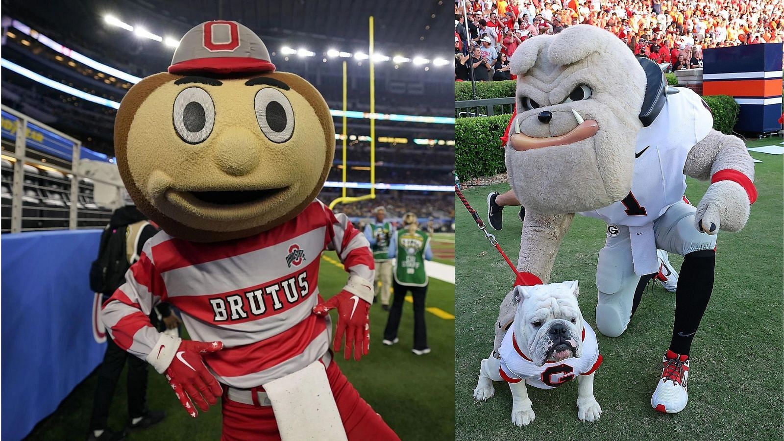 Brutus Buckeye and Uga XI are two of the top mascots in college football-- at two of the top programs.