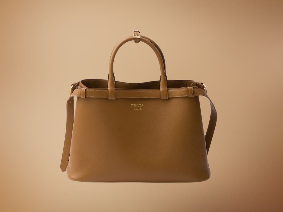 The Prada buckle medium leather double belt handbag (Image via Prada)