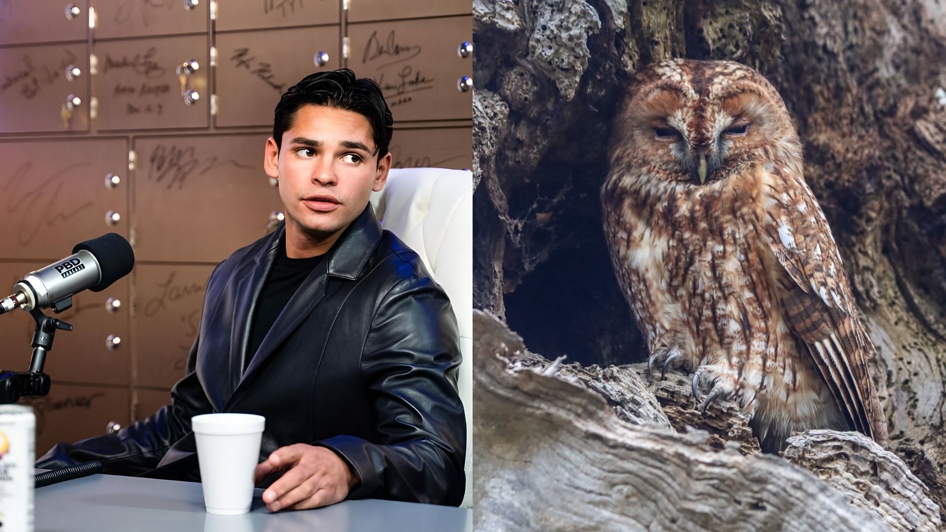 Meaning of the owl statue and Moloch explored as Ryan Garcia