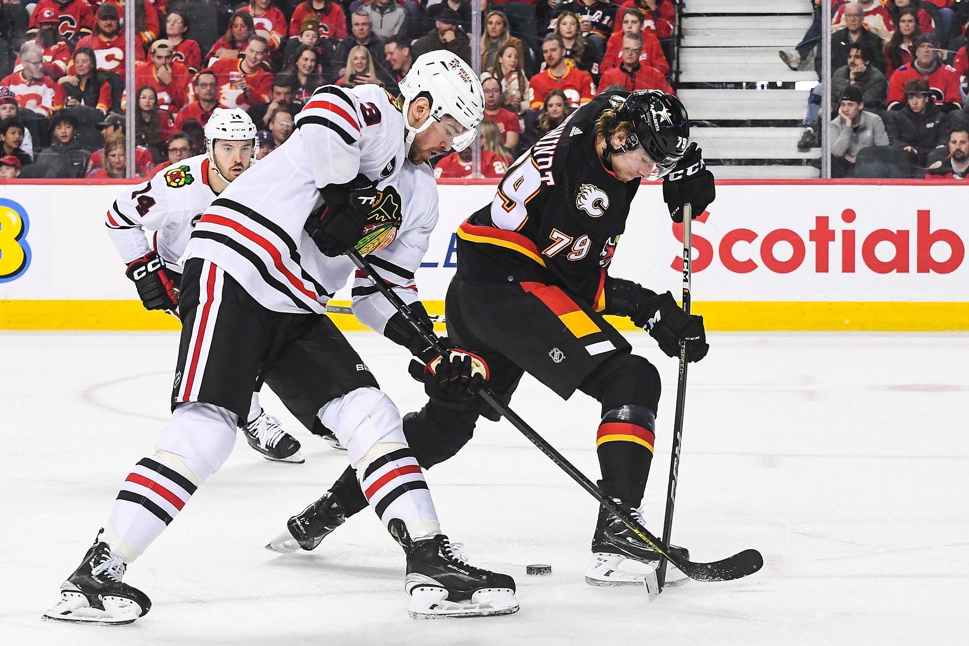 Chicago Blackhawks Calgary Flames vs Chicago Blackhawks Game Preview