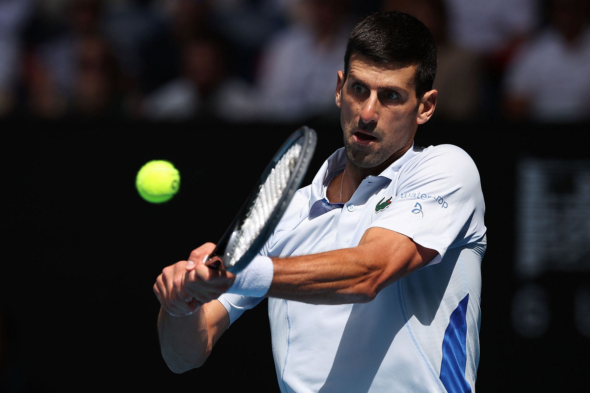Novak Djokovic failed to defend his title at the 2024 Australian Open
