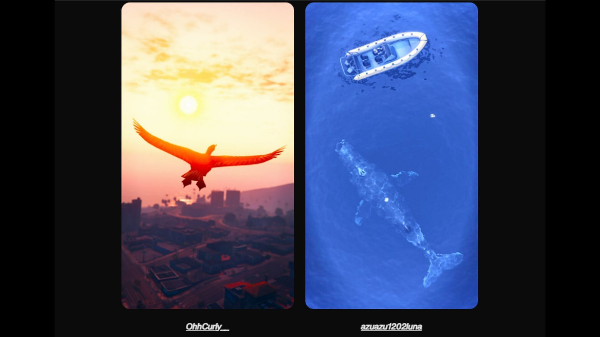 Some images from the Wildlife Photography Community Showcase 2/2 (Image via Rockstar Games)