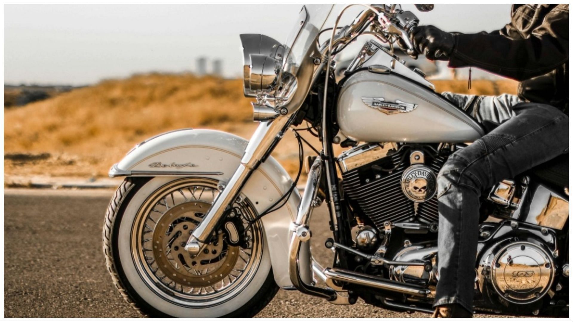 A Harley Davidson motorcycle rider died after colliding into a tree, (Image via Pexels) 
