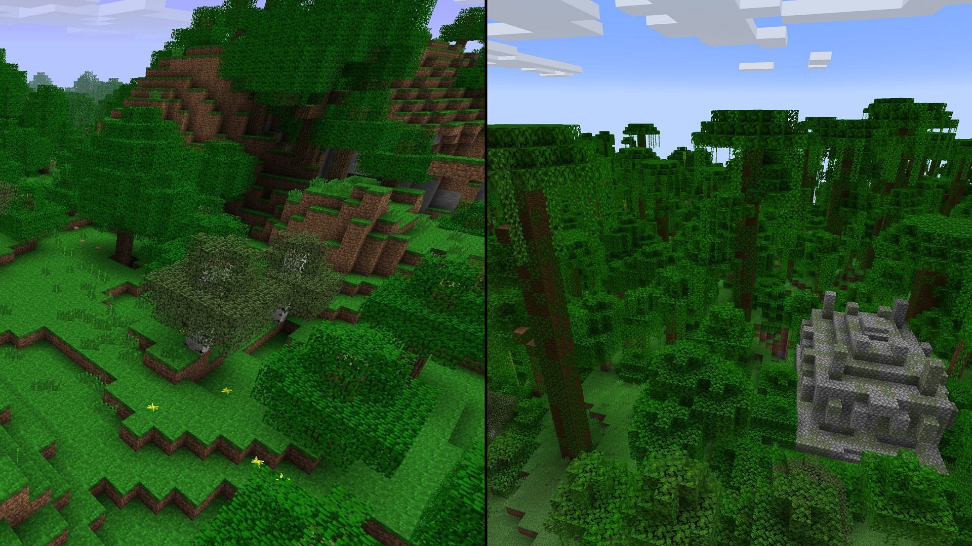 The rainforest most likely turned into the jungle (Image via Mojang Studios)