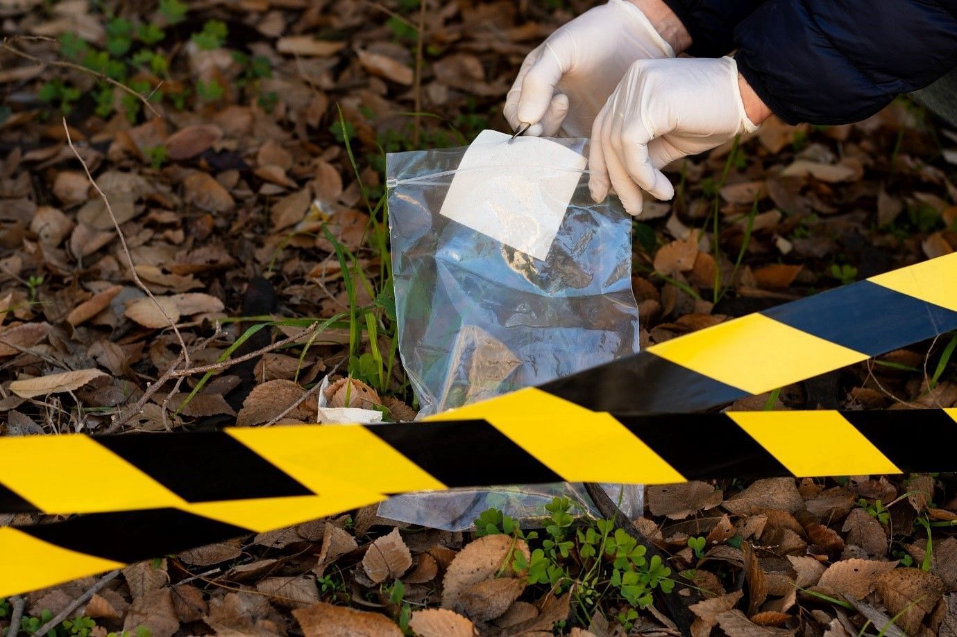 The dead body was found in a forested area of the UGA campus (Image by Freepik on Freepik)