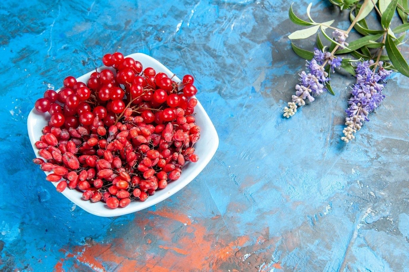 It is also known by the name of Ishisandra and Five-flavor Berry (Image by KamranAydinov on Freepik)